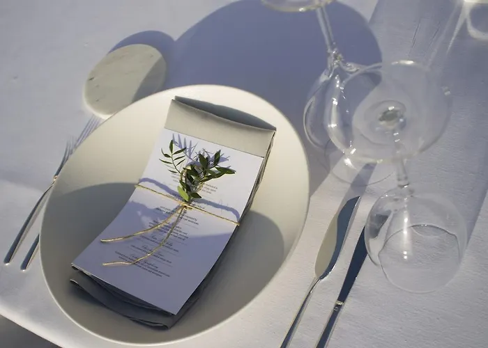 波尔多别墅酒店 5* 费拉